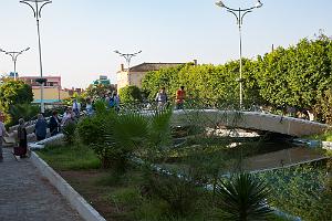 Oranie 2017-563